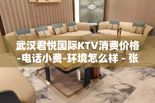 武汉君悦国际KTV消费价格-电话小费-环境怎么样 - 张家港大新KTV大全 