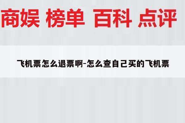 飞机票怎么退票啊-怎么查自己买的飞机票