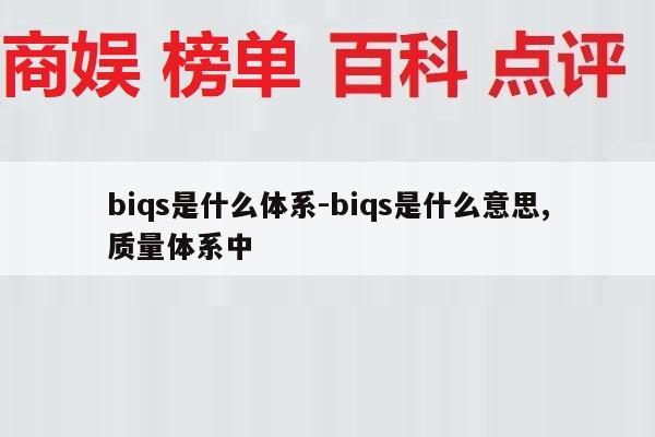 biqs是什么体系-biqs是什么意思,质量体系中