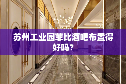 苏州工业园菲比酒吧布置得好吗？