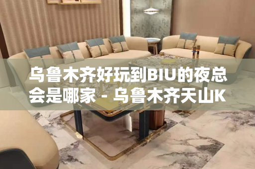 乌鲁木齐好玩到BIU的夜总会是哪家 - 乌鲁木齐天山KTV大全 