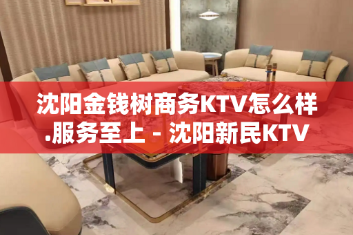 沈阳金钱树商务KTV怎么样.服务至上 - 沈阳新民KTV大全 