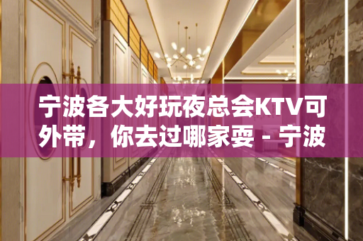 宁波各大好玩夜总会KTV可外带，你去过哪家耍 - 宁波鄞州KTV大全 