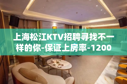 上海松江KTV招聘寻找不一样的你-保证上房率-1200起(无