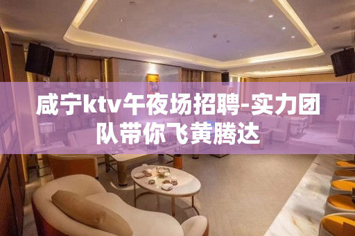 咸宁ktv午夜场招聘-实力团队带你飞黄腾达
