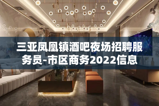 三亚凤凰镇酒吧夜场招聘服务员-市区商务2022信息