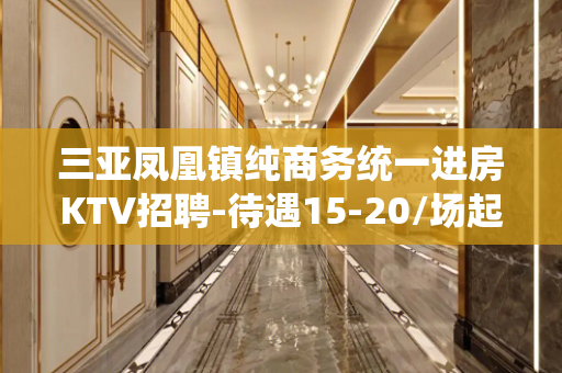 三亚凤凰镇纯商务统一进房KTV招聘-待遇15-20/场起你只