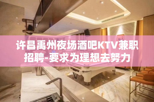 许昌禹州夜场酒吧KTV兼职招聘-要求为理想去努力