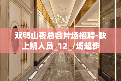 双鸭山夜总会片场招聘-缺上班人员_12_/场起步