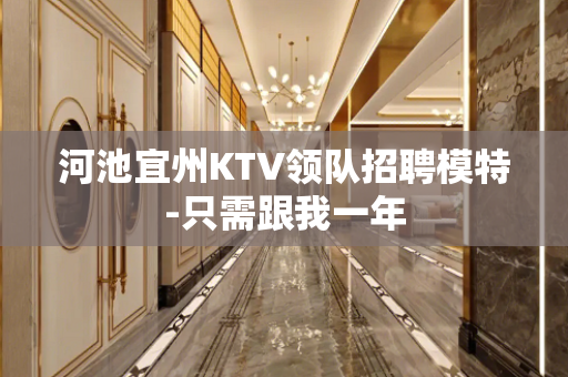 河池宜州KTV领队招聘模特-只需跟我一年