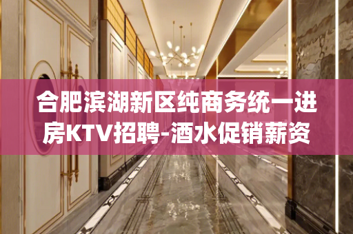 合肥滨湖新区纯商务统一进房KTV招聘-酒水促销薪资15_/场