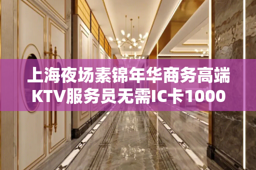 上海夜场素锦年华商务高端KTV服务员无需IC卡1000-12