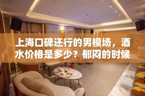 上海口碑还行的男模场，酒水价格是多少？郁闷的时候男模场值得去