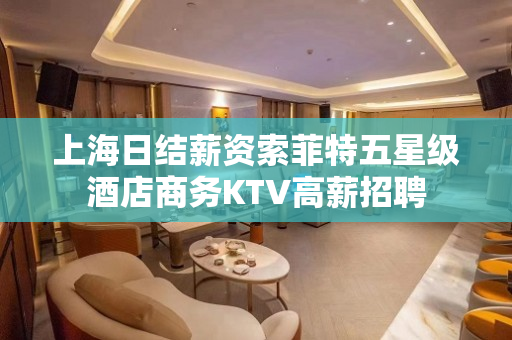 上海日结薪资索菲特五星级酒店商务KTV高薪招聘