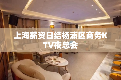上海薪资日结杨浦区商务KTV夜总会