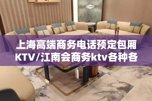 上海高端商务电话预定包厢KTV/江南会商务ktv各种各样游/