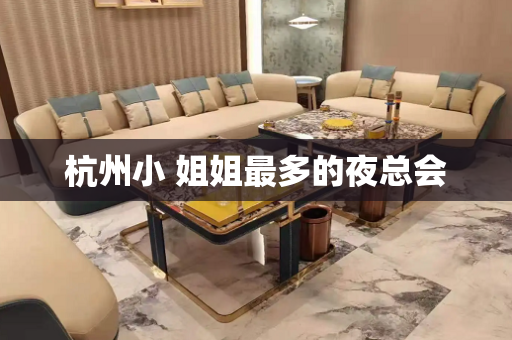 杭州小 姐姐最多的夜总会