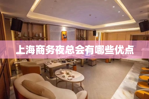 上海商务夜总会有哪些优点