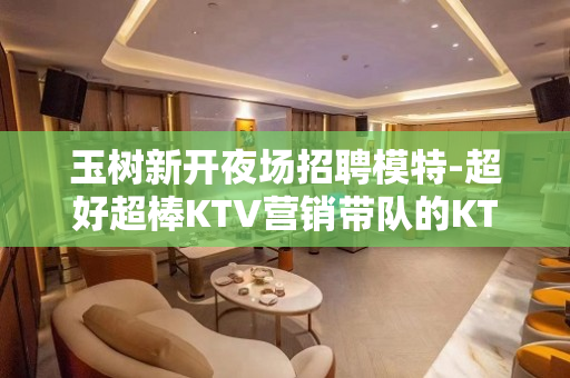 玉树新开夜场招聘模特-超好超棒KTV营销带队的KTV