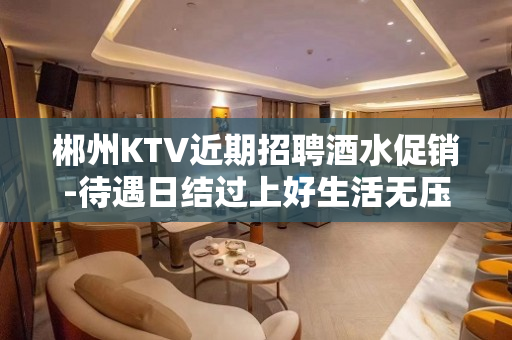 郴州KTV近期招聘酒水促销-待遇日结过上好生活无压力