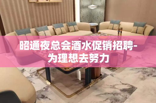 昭通夜总会酒水促销招聘-为理想去努力