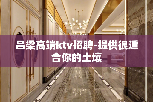 吕梁高端ktv招聘-提供很适合你的土壤