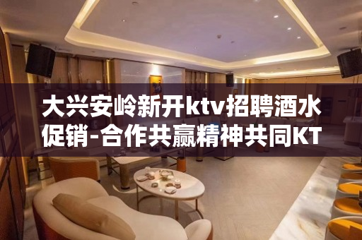 大兴安岭新开ktv招聘酒水促销-合作共赢精神共同KTV