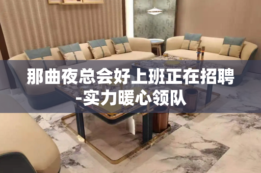 那曲夜总会好上班正在招聘-实力暖心领队