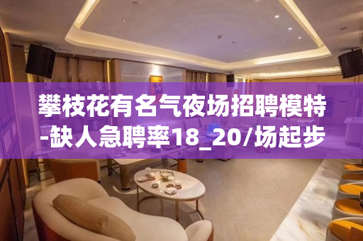 攀枝花有名气夜场招聘模特-缺人急聘率18_20/场起步