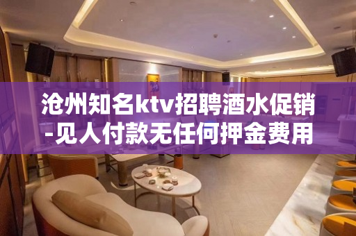 沧州知名ktv招聘酒水促销-见人付款无任何押金费用