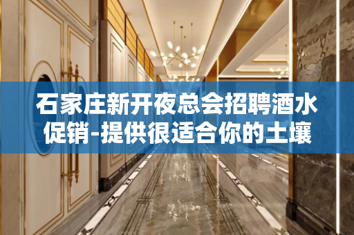 石家庄新开夜总会招聘酒水促销-提供很适合你的土壤