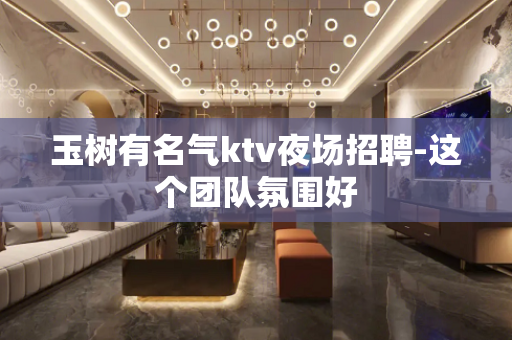 玉树有名气ktv夜场招聘-这个团队氛围好