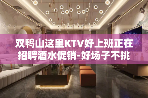 双鸭山这里KTV好上班正在招聘酒水促销-好场子不挑人