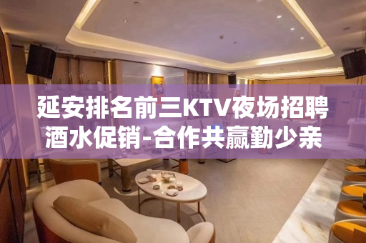 延安排名前三KTV夜场招聘酒水促销-合作共赢勤少亲自带队