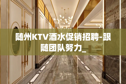 随州KTV酒水促销招聘-跟随团队努力_