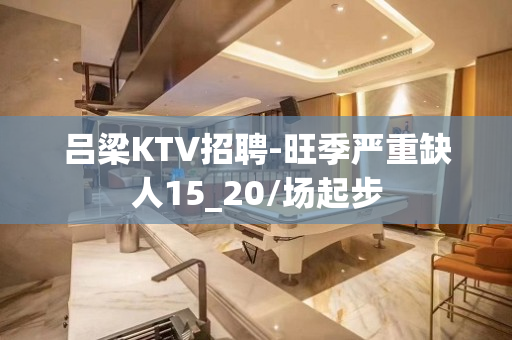 吕梁KTV招聘-旺季严重缺人15_20/场起步