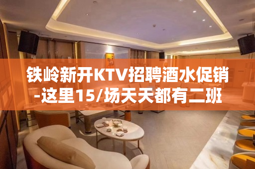 铁岭新开KTV招聘酒水促销-这里15/场天天都有二班