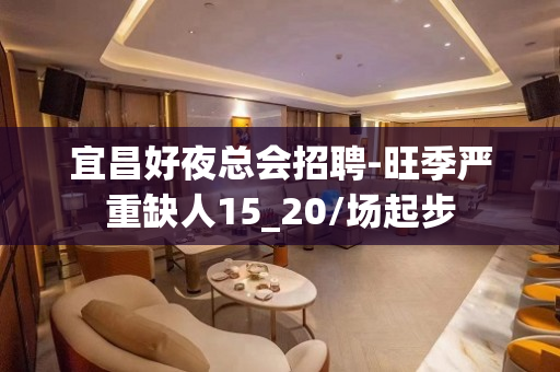 宜昌好夜总会招聘-旺季严重缺人15_20/场起步