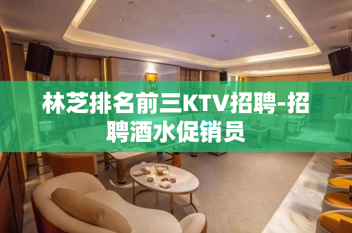 林芝排名前三KTV招聘-招聘酒水促销员