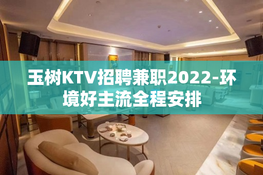 玉树KTV招聘兼职2022-环境好主流全程安排