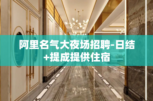 阿里名气大夜场招聘-日结+提成提供住宿