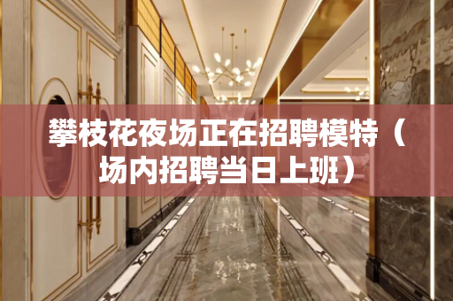 攀枝花夜场正在招聘模特（场内招聘当日上班）
