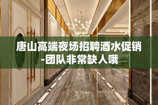 唐山高端夜场招聘酒水促销-团队非常缺人哦