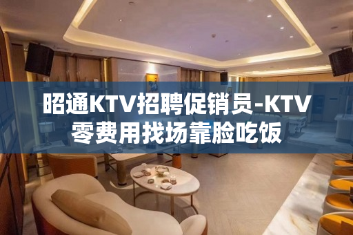 昭通KTV招聘促销员-KTV零费用找场靠脸吃饭