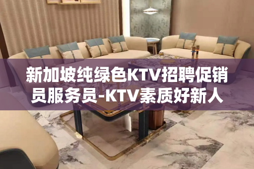新加坡纯绿色KTV招聘促销员服务员-KTV素质好新人随时接待