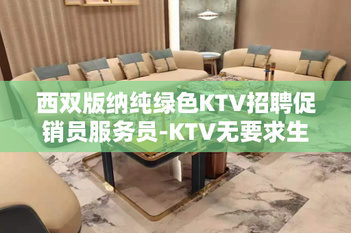 西双版纳纯绿色KTV招聘促销员服务员-KTV无要求生意客源稳