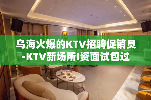 乌海火爆的KTV招聘促销员-KTV新场所I资面试包过