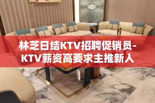 林芝日结KTV招聘促销员-KTV薪资高要求主推新人