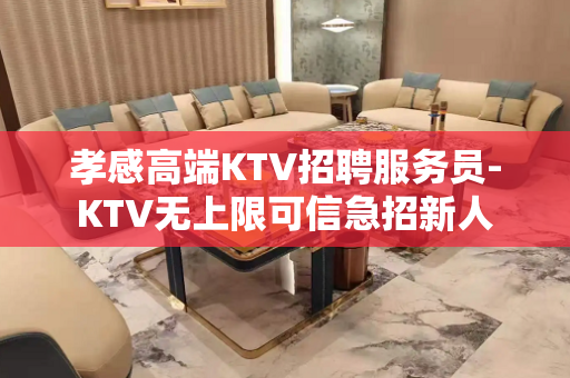 孝感高端KTV招聘服务员-KTV无上限可信急招新人