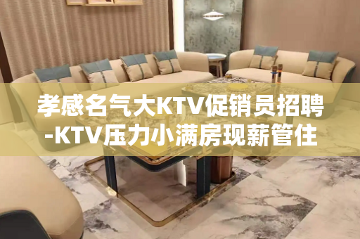 孝感名气大KTV促销员招聘-KTV压力小满房现薪管住